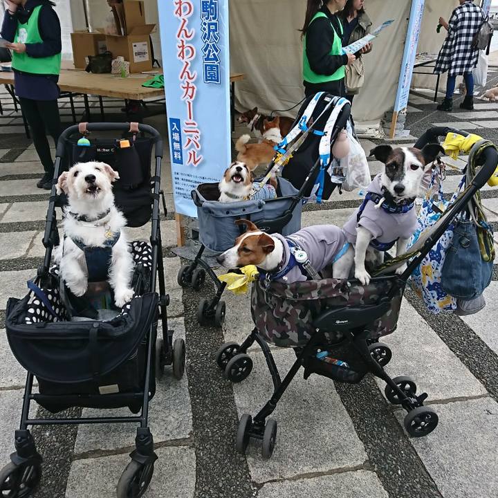 751d31ba 1867 4a45 afd7 a495daa8bde9 1539414766597