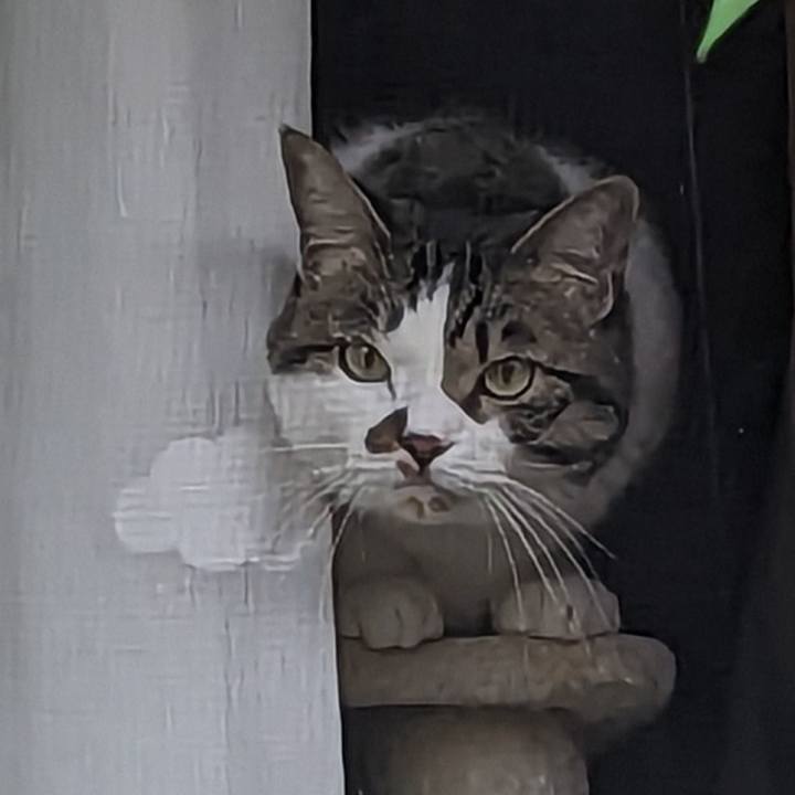 751d870b 7ea7 4148 a6a8 03eb4956de7d 1687818379215