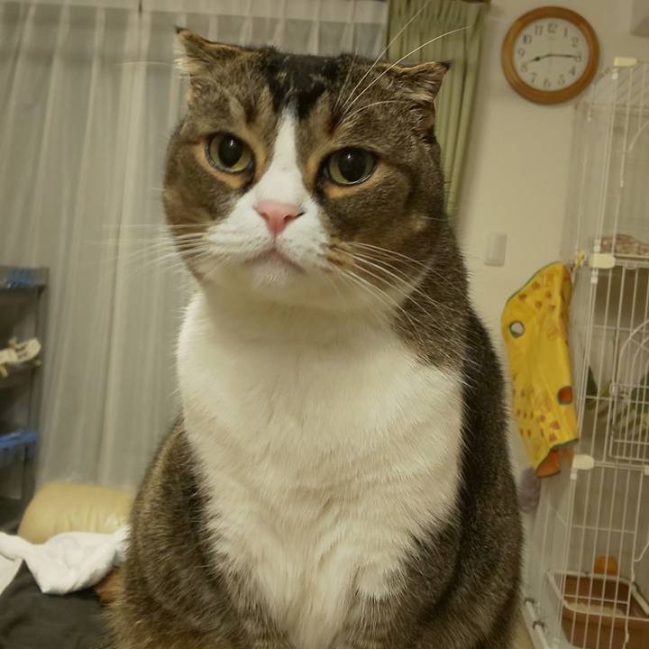 751d9cf6 9a61 43a0 8b6d 764352364628 1579693175341