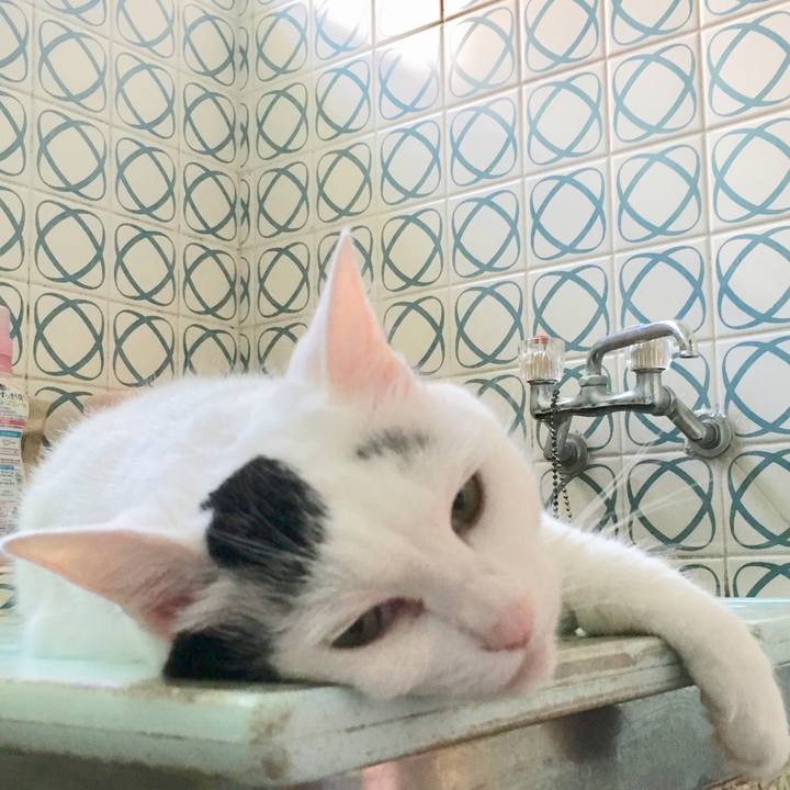 751da5ed b432 4dd6 9797 f5c6d03cd364 1564805062677