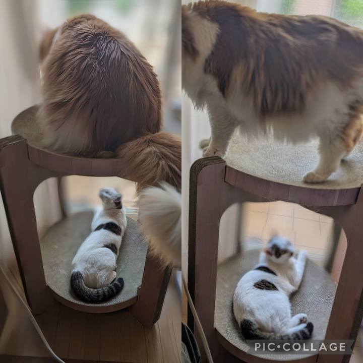 751db706 5d32 4313 b2d0 856ec4697f55 1718067059278