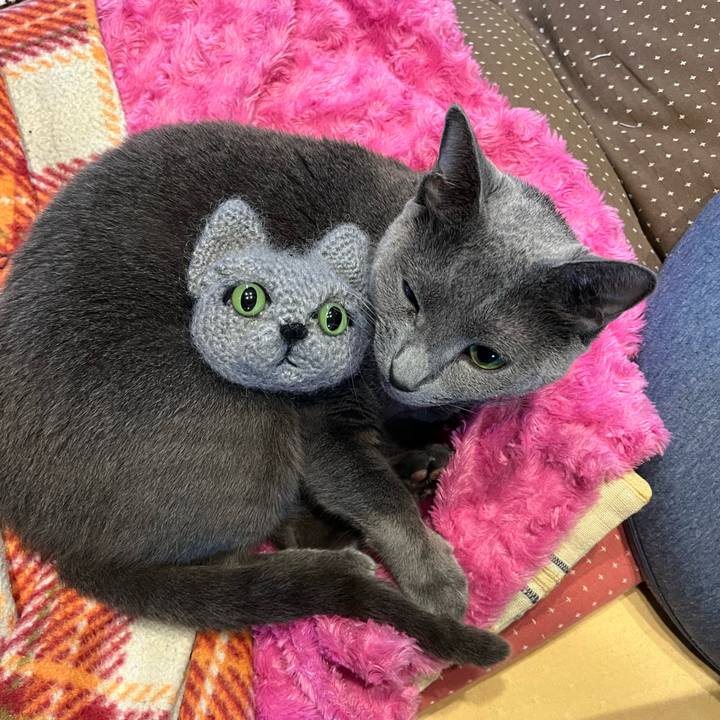 751dbd26 bd6f 4215 bf41 4e5f3e575cfe 1696825980696