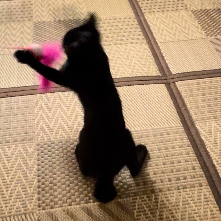 751dc063 9258 4ee1 85ba 368310e509d6 1724550471535