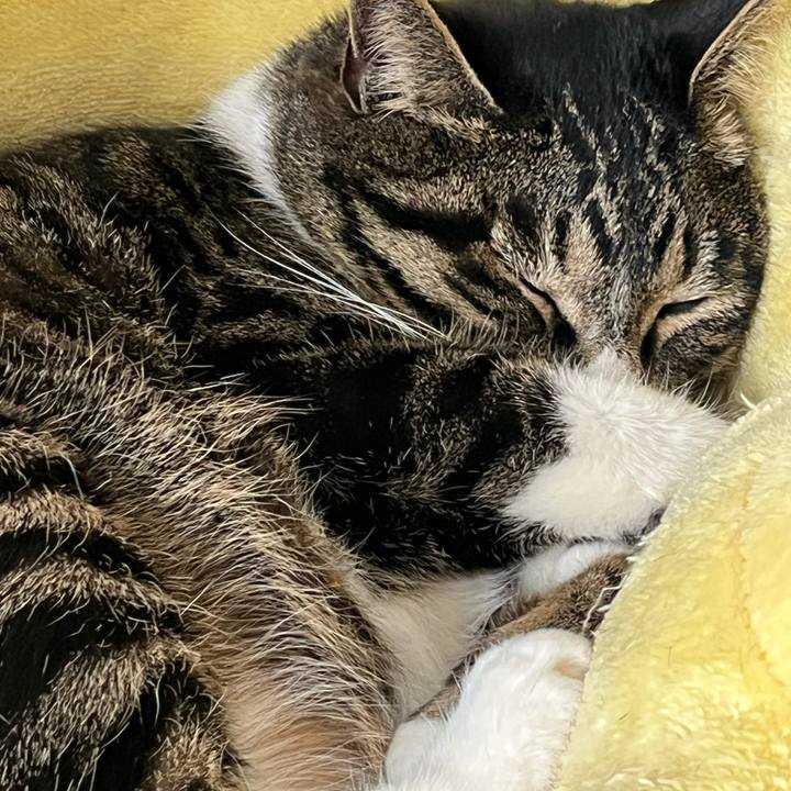 751deacc 2422 4dff adc2 ba01197ff9a2 1772583437720