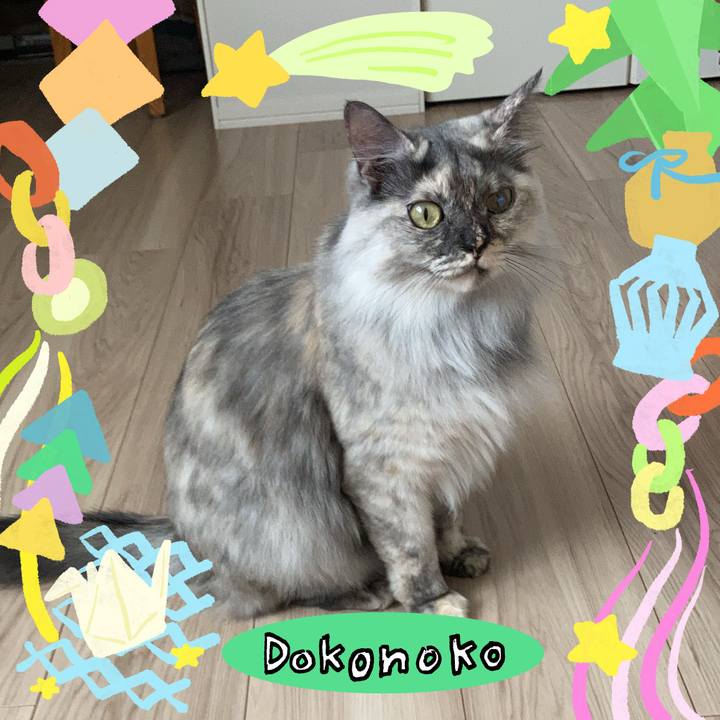 751df7a2 135c 4659 83df 8a18a5e71b09 1755322635729