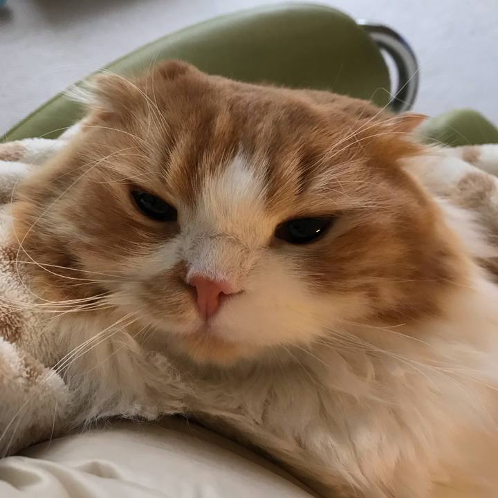 751dfbd4 6d00 45b4 ae90 8892e0ea3fd2 1548991187673