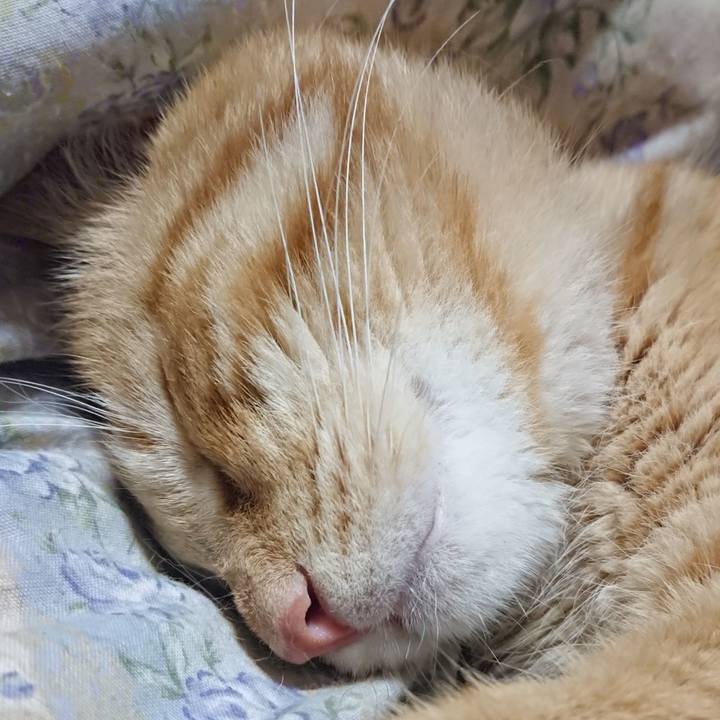 751e0998 0da1 4a97 b9fe 4381f6f895bf 1655471140194