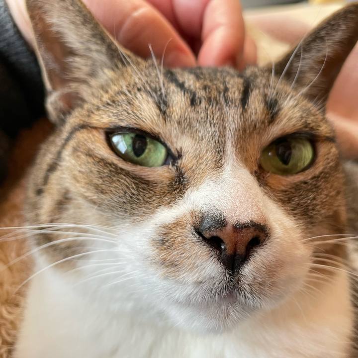 751e1add 7029 4eb0 bbf4 afb9f6bcf5de 1641604611619