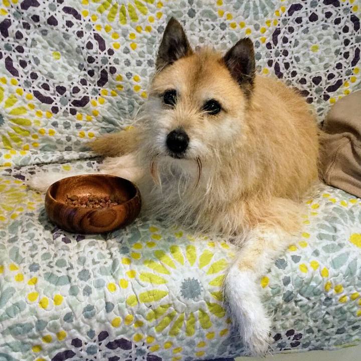 751e3bf6 b027 4f61 b5d3 ed887cac149b 1556885956517