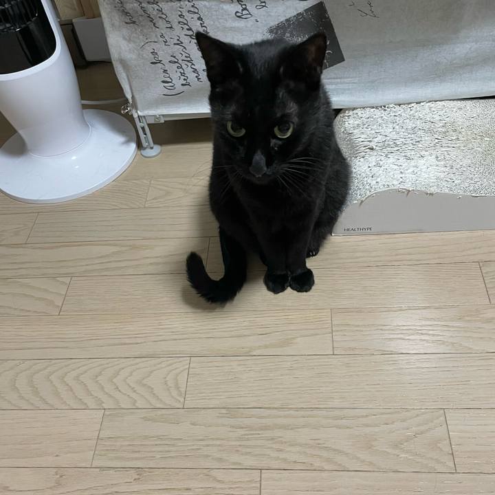 751e6227 9951 43d6 9a84 40960d1a7c3f 1751112032465