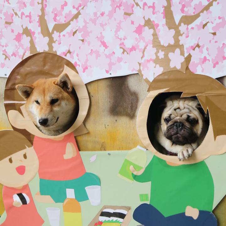 751ec885 4e3a 448f 9316 17ac4f7a7eb5 1554034907901