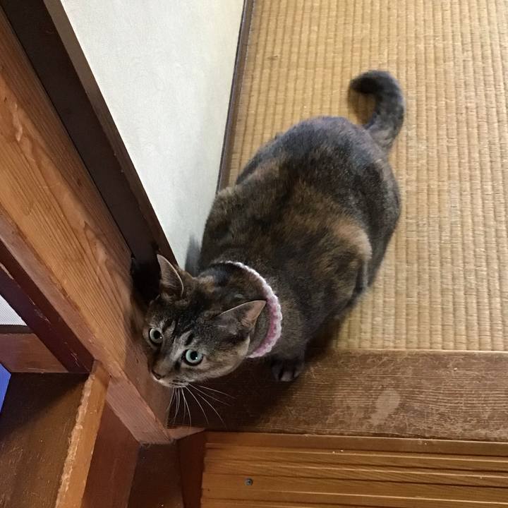 751ecd0f 7c14 4f7e 8b53 e3b113cc7a2f 1695287746632