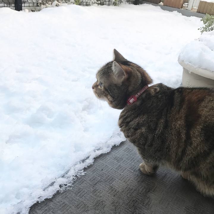 751ee26c e5ca 48c0 aa43 ed6eeeaacf18 1516671290218