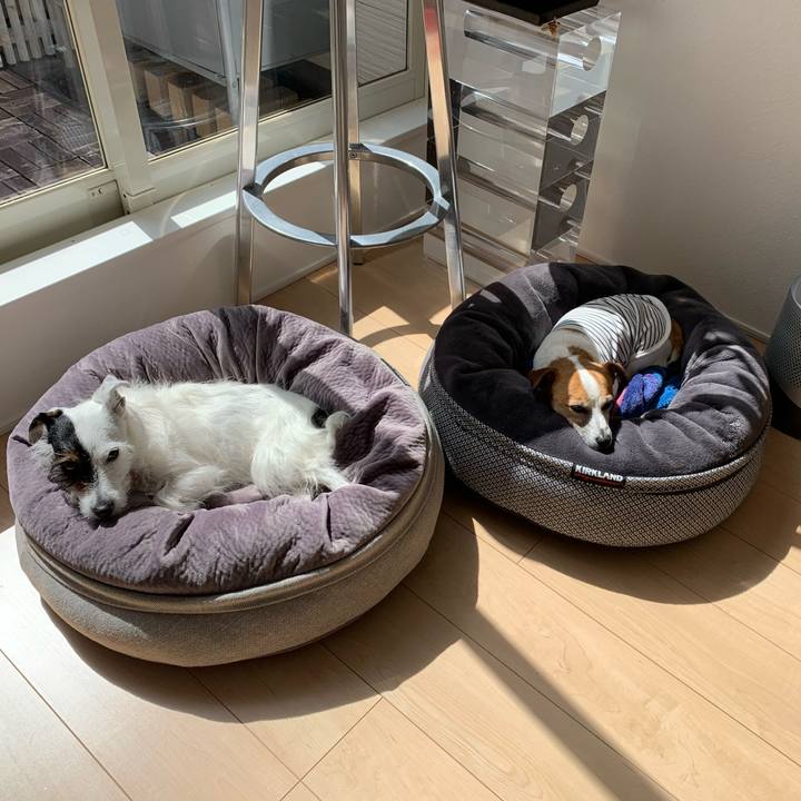 751ee6a4 2b32 42cd bfb9 e22413af276a 1615952960566