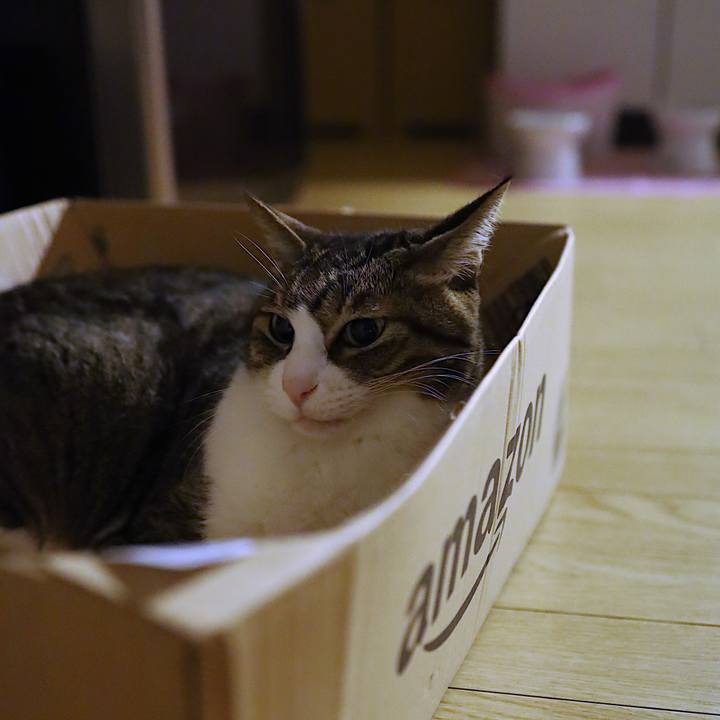 751ee88b 0f59 47aa a1fa 0ff4979174b3 1569687580752