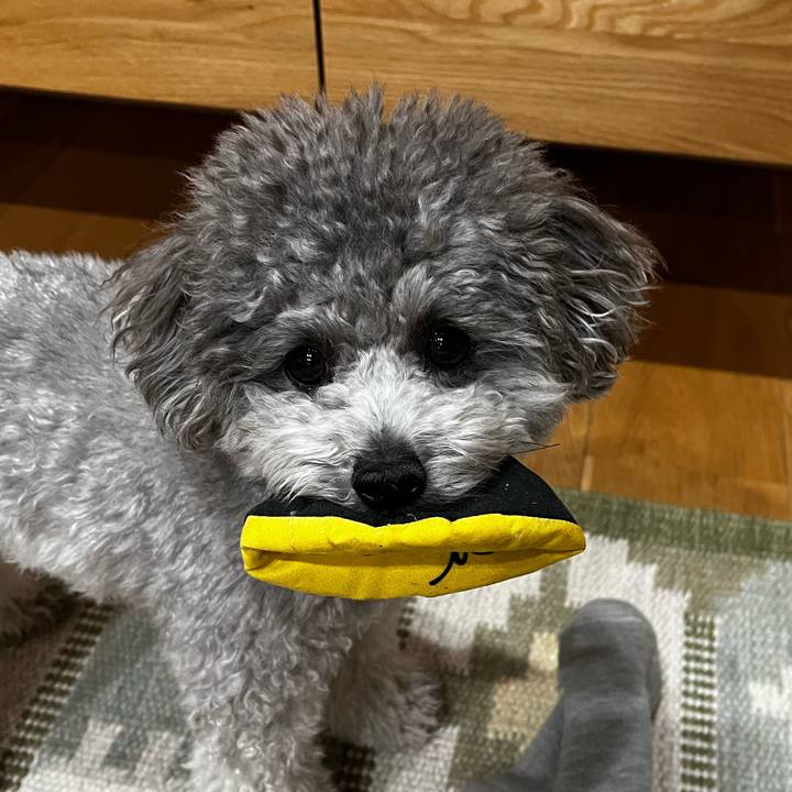 751f0134 2a3d 4729 aecb a7be888792e7 1771584769862