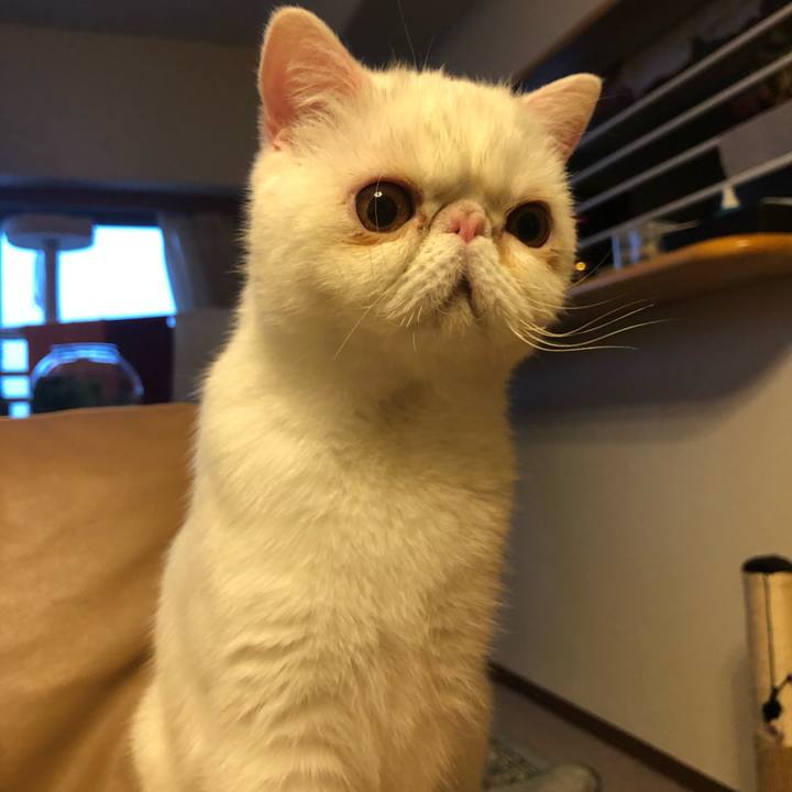 751f6d71 64f4 4850 86df 259da492a5f0 1584181777320