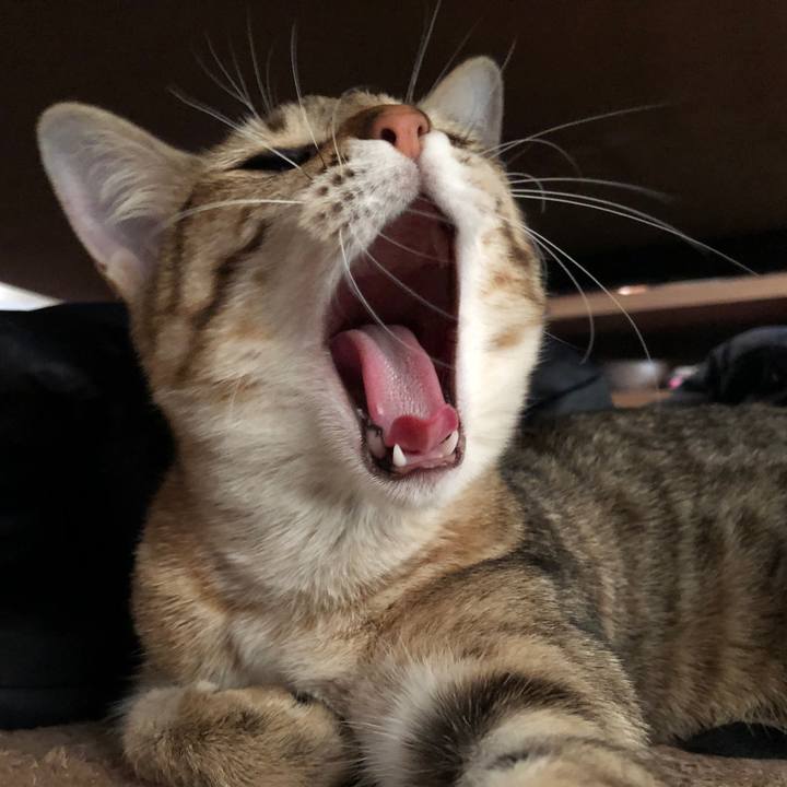 751f7fa5 90a8 4394 a97f fe7796e4d086 1583811954453