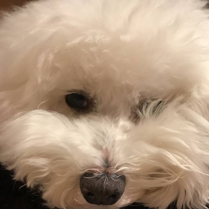 751fe10b 5b5b 4807 ae06 e5ec026961b3 1546243387686