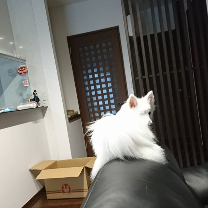 75200e34 a93a 4895 acce 033c9511e38e 1521589557395