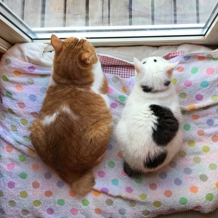 75201be8 c96c 4d77 afb9 791e90b95322 1657742161386