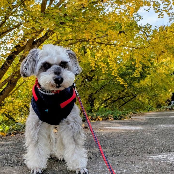 752034f3 254f 4ca0 987f 11440d36c566 1763983705297