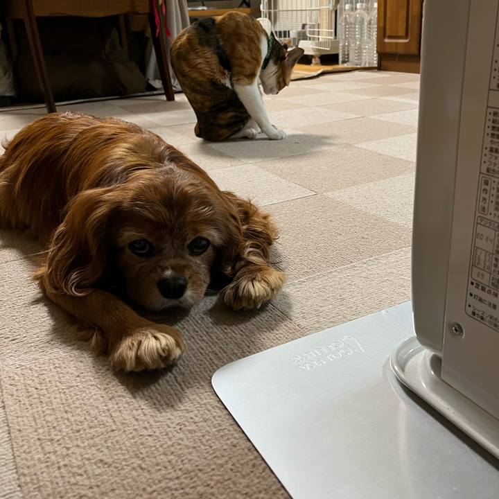 75206cbc b5f8 48cf b54e fabb4db49ff3 1769382984839