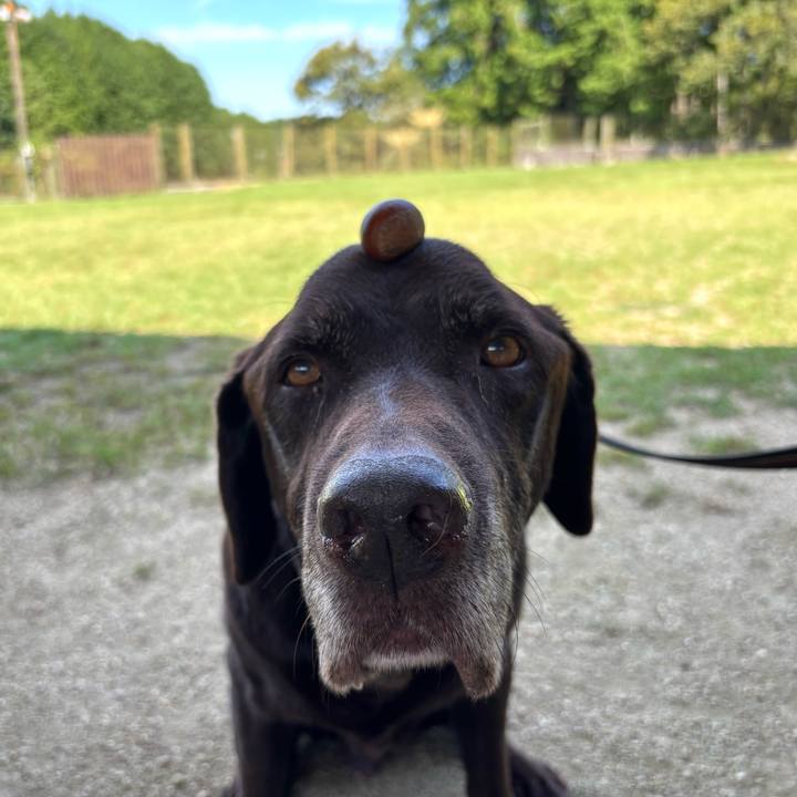 752097da 639c 45d1 a9d1 7aaedb487266 1758976720412