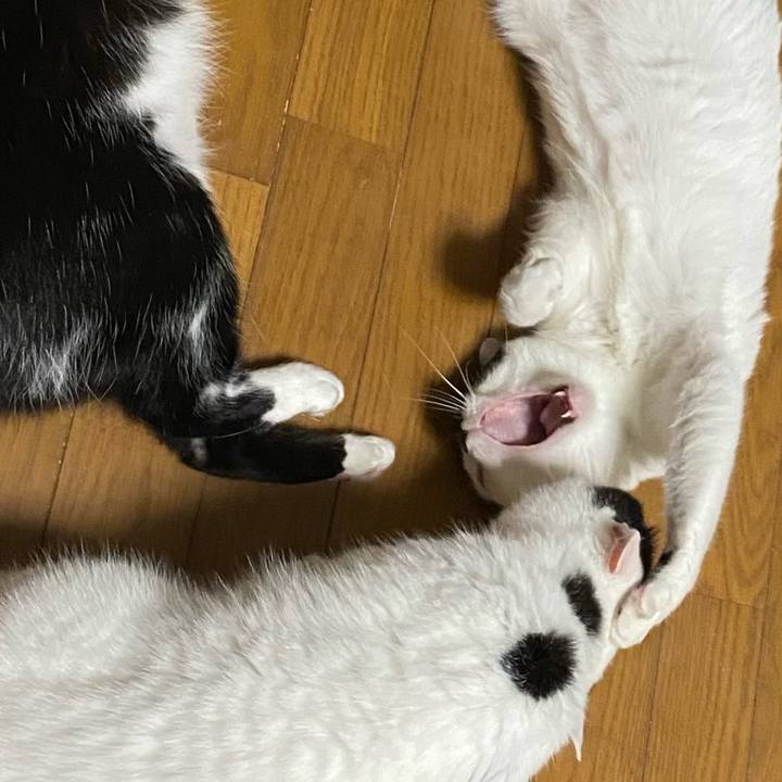 75209f25 7b7f 4021 a1ec b643890b15cb 1688173830320