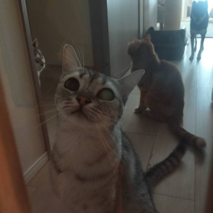 7520a63a febb 4efb aea9 3dbcdfa28292 1598434324897