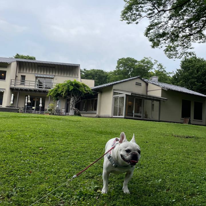 7520aa01 598e 4126 ba33 b8ae33a9b34b 1749858917308