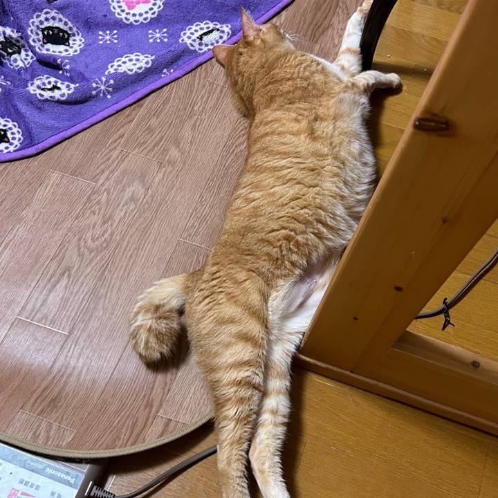 7520af49 75be 4d71 9b18 ff74d5c0c25a 1685015986498