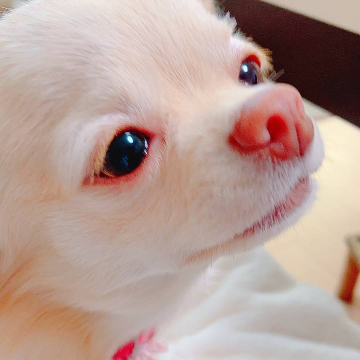 752114bf f81d 4a8e bf87 5a767f5f3a6b 1618974338205