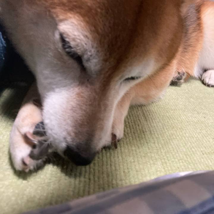 752129cd c8d3 4b8c a4c1 c7e3ef451edf 1668295464592