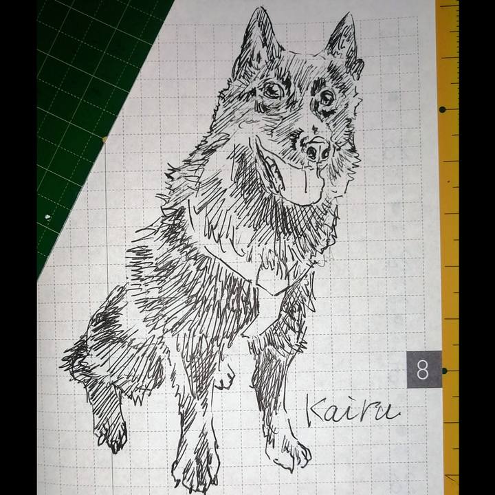 752135fe 38dc 4d96 93f7 f78420773900 1660601765565