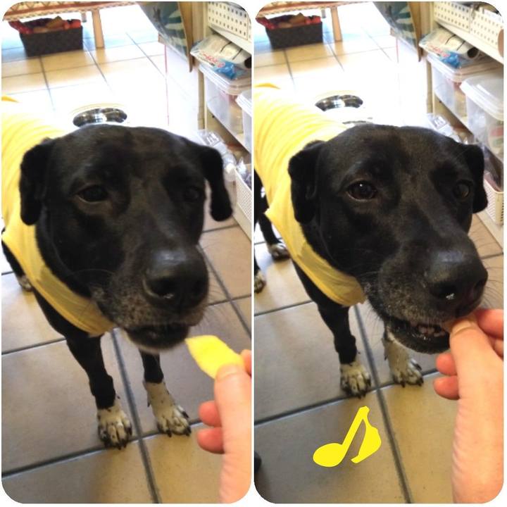 75214405 cde7 4e34 8b2c 98c679ab2c73 1620446489784