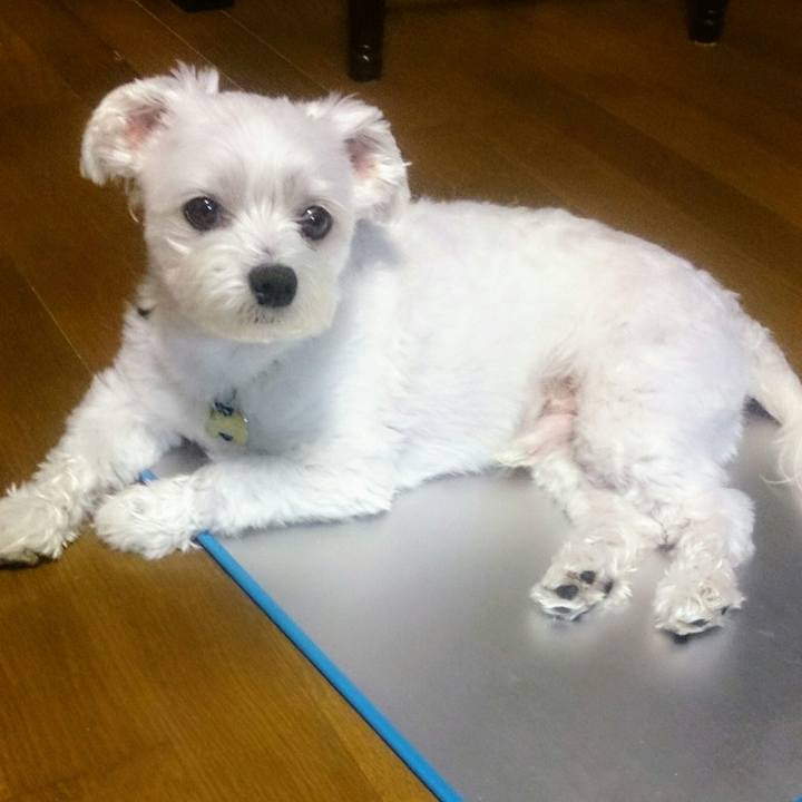 75215c3e 8597 40f8 b560 0f92761158af 1529924053062