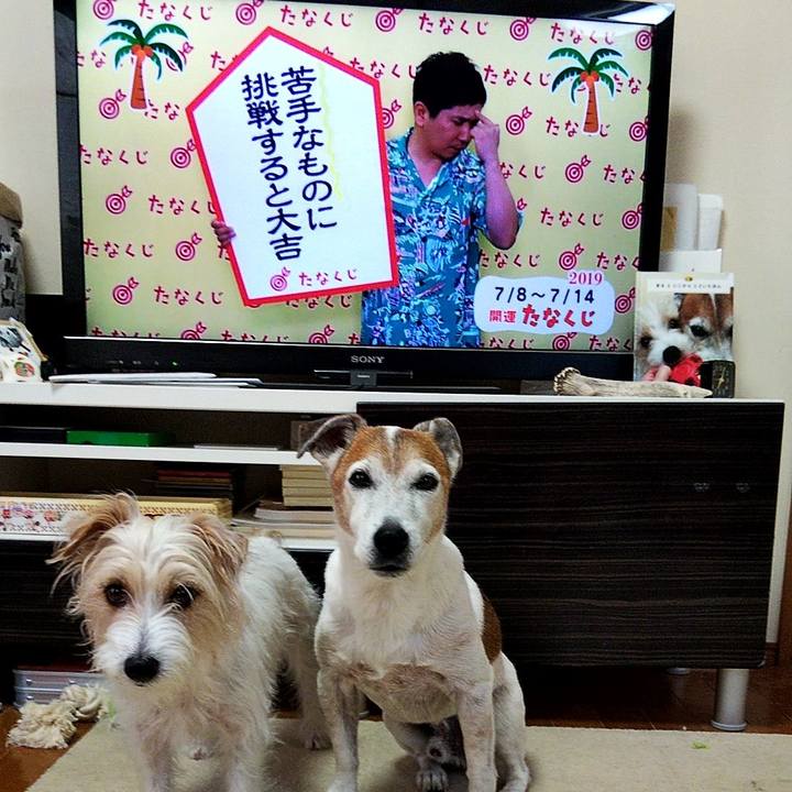 75216784 473a 4ca2 8f07 69f64b86e76d 1562537134405