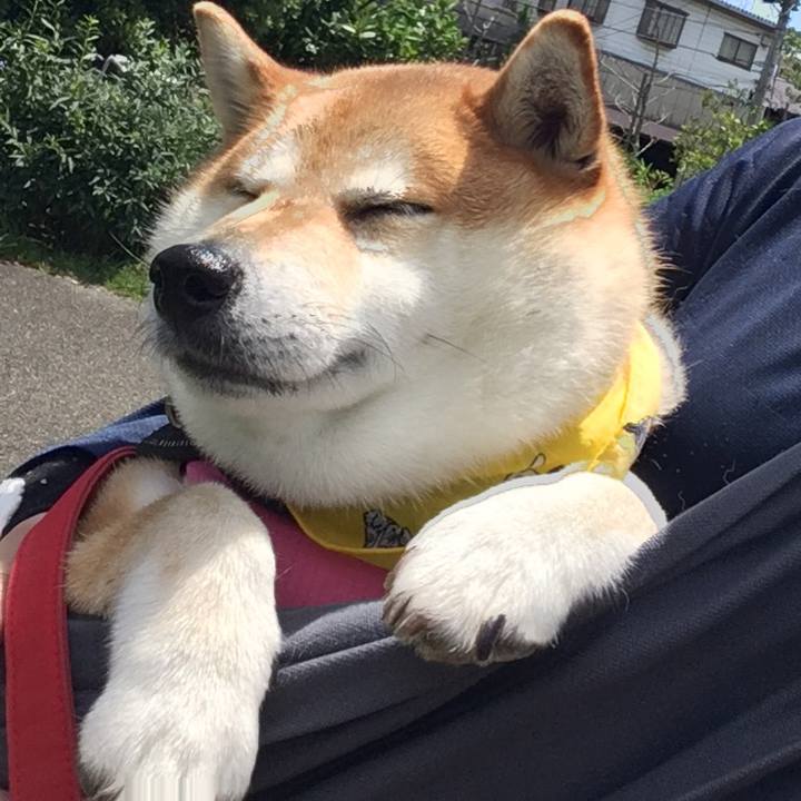 7521a105 f954 41ad baa5 a6e1273df1e7 1591849048506