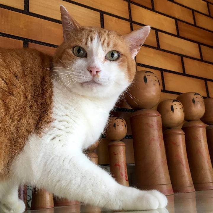 7521a873 e90e 4cfc b5a2 d9f39386b48e 1589168172141