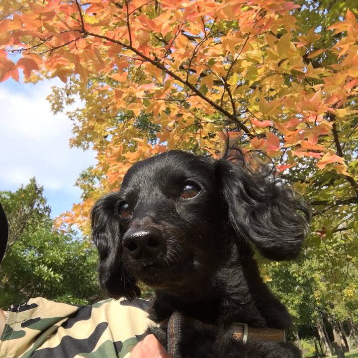 7521b3a9 76cb 4e9b 8e0d b2bd9072521f 1604185778593