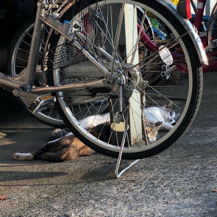 7521c924 8fd2 4a5a bea4 500bd6c5633d 1531429947013