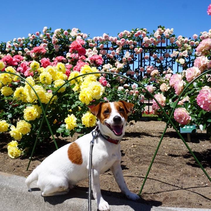 7521d090 5c13 4182 9d1a ae002c38b5ae 1526817534157