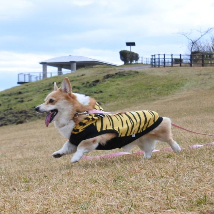 7521db0a 4b2d 4835 8cac ea17a1967e89 1667651331155