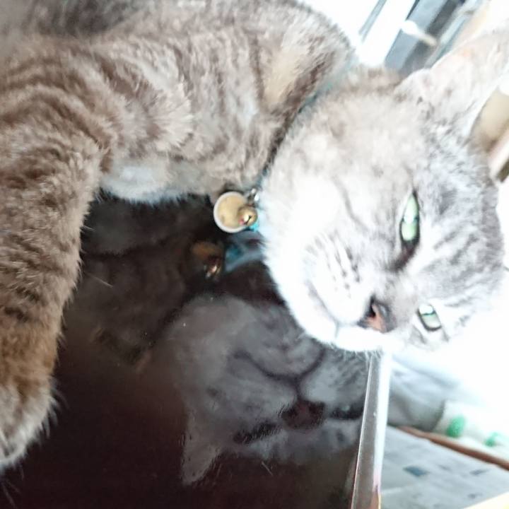 7521f6d1 fc36 4314 ab78 5b350c11b3ea 1565412471534