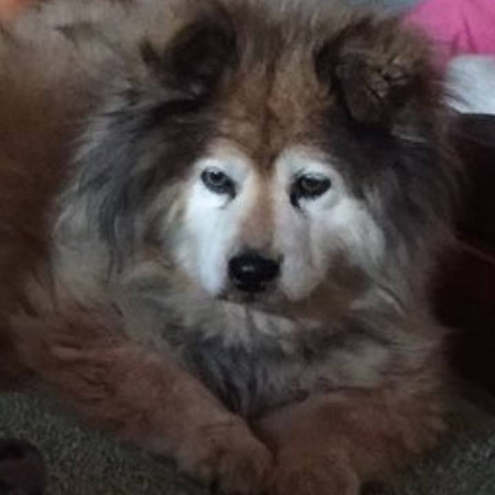 7521fafd 69c7 4872 a866 943d4144ff4b 1639091584216