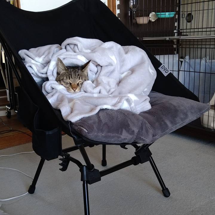 75222a75 2536 4765 be7c 819d31693f4f 1634946720862