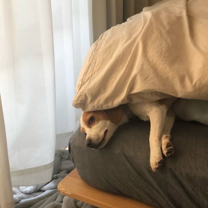 75223737 52c0 433d aeb0 02c3dc65f466 1585123794159