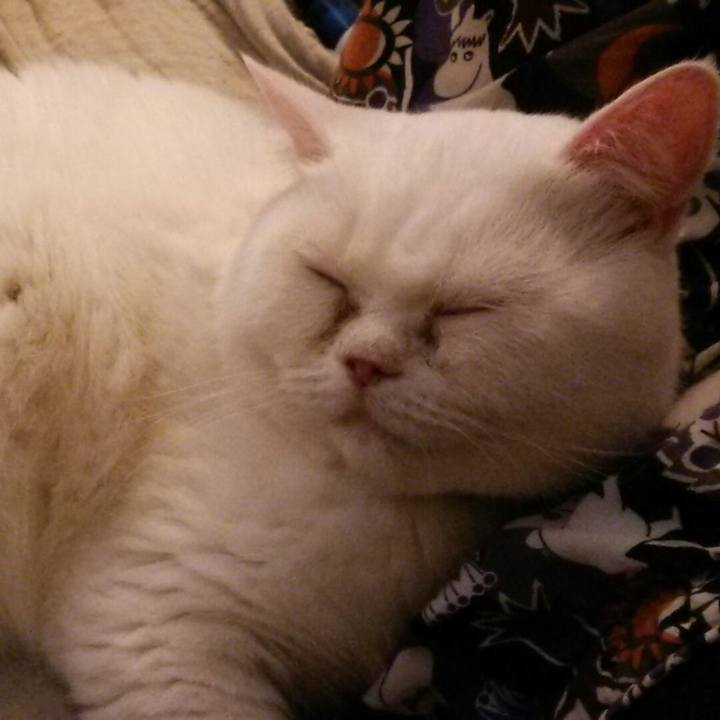 75224a06 c6db 4b57 8876 f06807a0b469 1532248657029