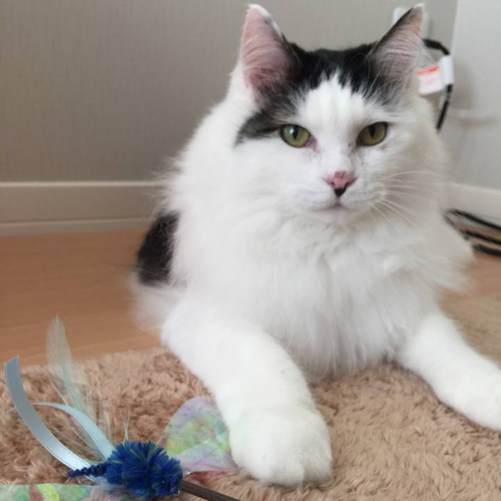 75226efa f0d9 452d 82b5 c7f00ea5ee2f 1515201455067